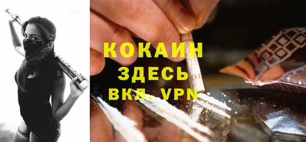 МДПВ Алзамай