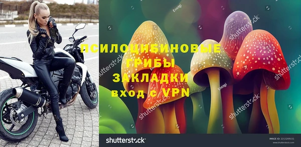 МДПВ Алзамай