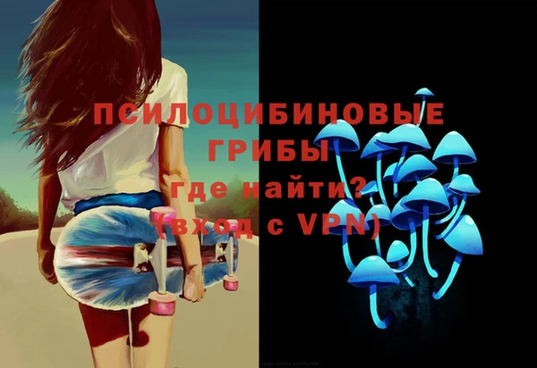 МДПВ Алзамай