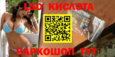spice Тара